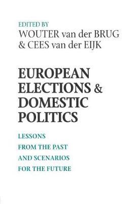 European Elections and Domestic Politics image