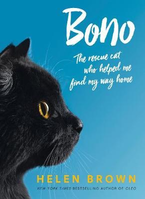Bono by Helen Brown image