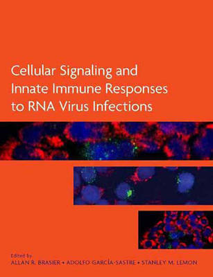 Cellular Signaling and Innate Immune Responses to RNA Virus Infections by Allan R. Brasier image