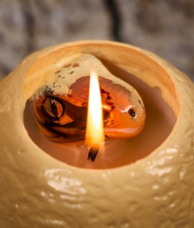 Hatching Dinosaur Candle image