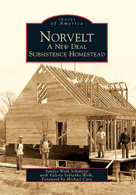 Norvelt by Sandra Wolk Schimizzi image