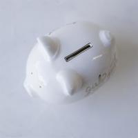 girls just wanna have funds piggy bank