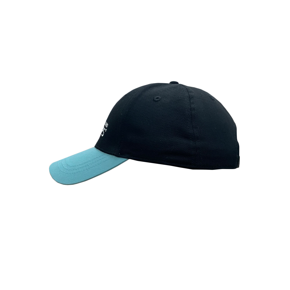 Blackcaps Cap - Black/Teal