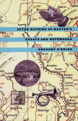 After Bathing at Baxter's by Gregory O'Brien image
