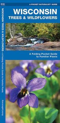 Wisconsin Trees & Wildflowers : An Introduction to Familiar Species by Senior Consultant James Kavanagh (Senior Consultant, Oxera Oxera Oxera) image