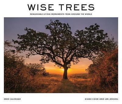 Wise Trees 2020 Wall Calendar by Diane Cook image