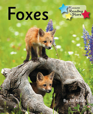 Foxes by Jill Atkins image