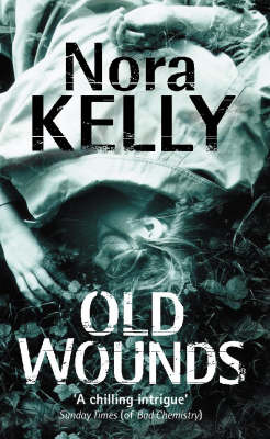 Long Way Home by Nora Kelly image