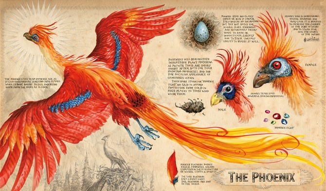 Harry Potter and the Chamber of Secrets: Illustrated Edition by J.K. Rowling image