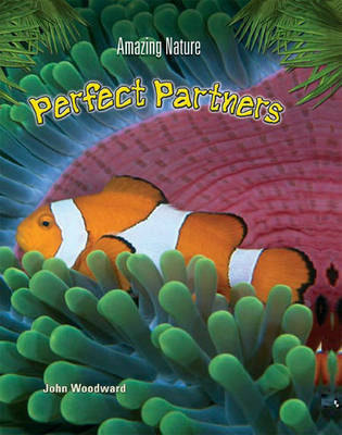 Perfect Partners image