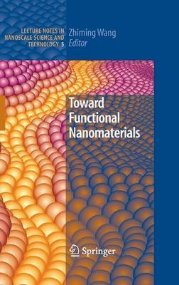 Toward Functional Nanomaterials image