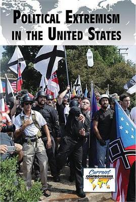 Political Extremism in the United States image