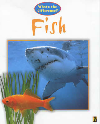 Fish on Paperback by Stephen Savage