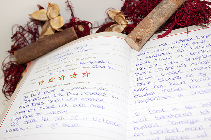 Reading Journal: For Book Lovers by Potter Style image