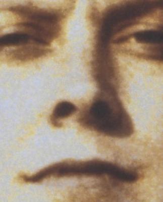 Sarah Lucas image