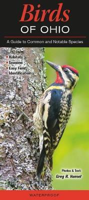 Birds of Ohio by Greg Homel image