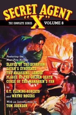 Secret Agent X by G.T. Fleming-Roberts image