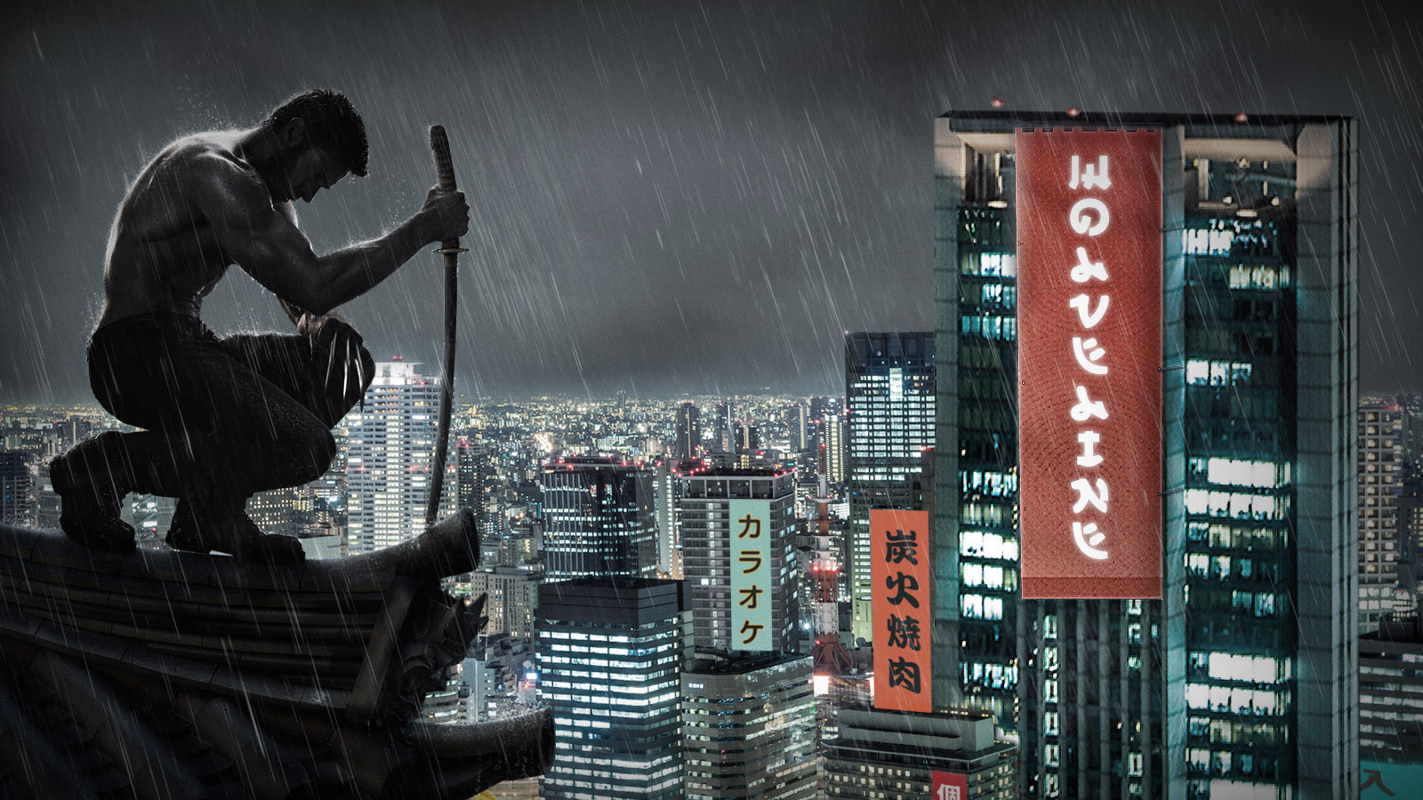 The Wolverine on DVD image