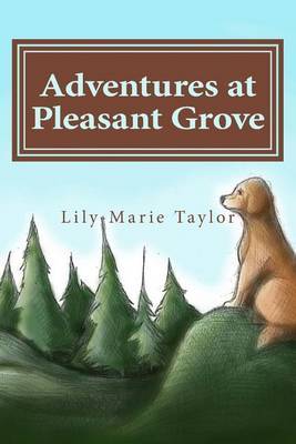 Adventures at Pleasant Grove by Lily-Marie Taylor image