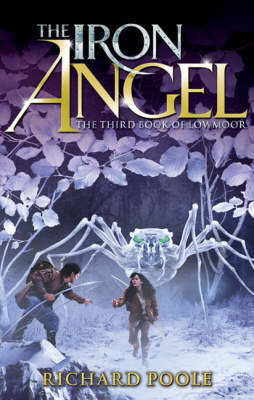 The Iron Angel by Richard Poole image