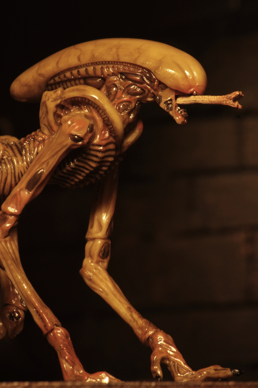 Alien 3: Creature Accessory Pack - (Scales with 7" Figures) image