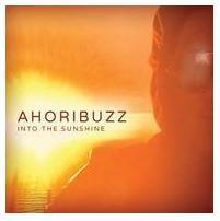 Into The Sunshine on CD by Ahoribuzz