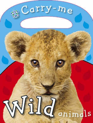 Wild Animals by Joanna Bicknell image