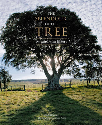 The Splendour of the Tree by Noel Kingsbury image