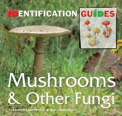 Mushrooms & Other Fungi by Sue Harniess image