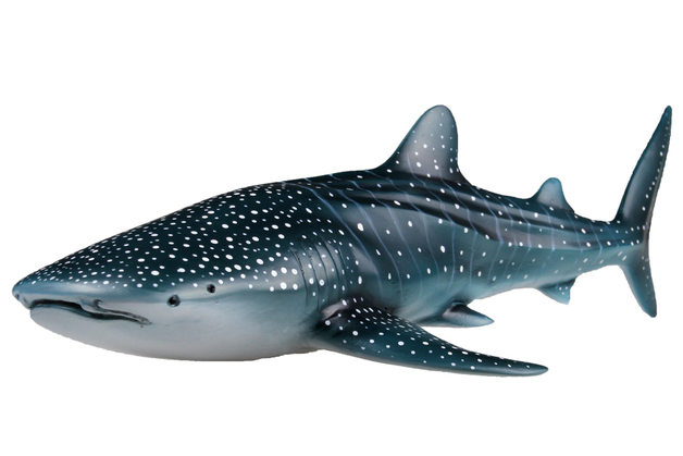 whale shark figure