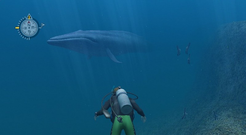Endless Ocean for Nintendo Wii image