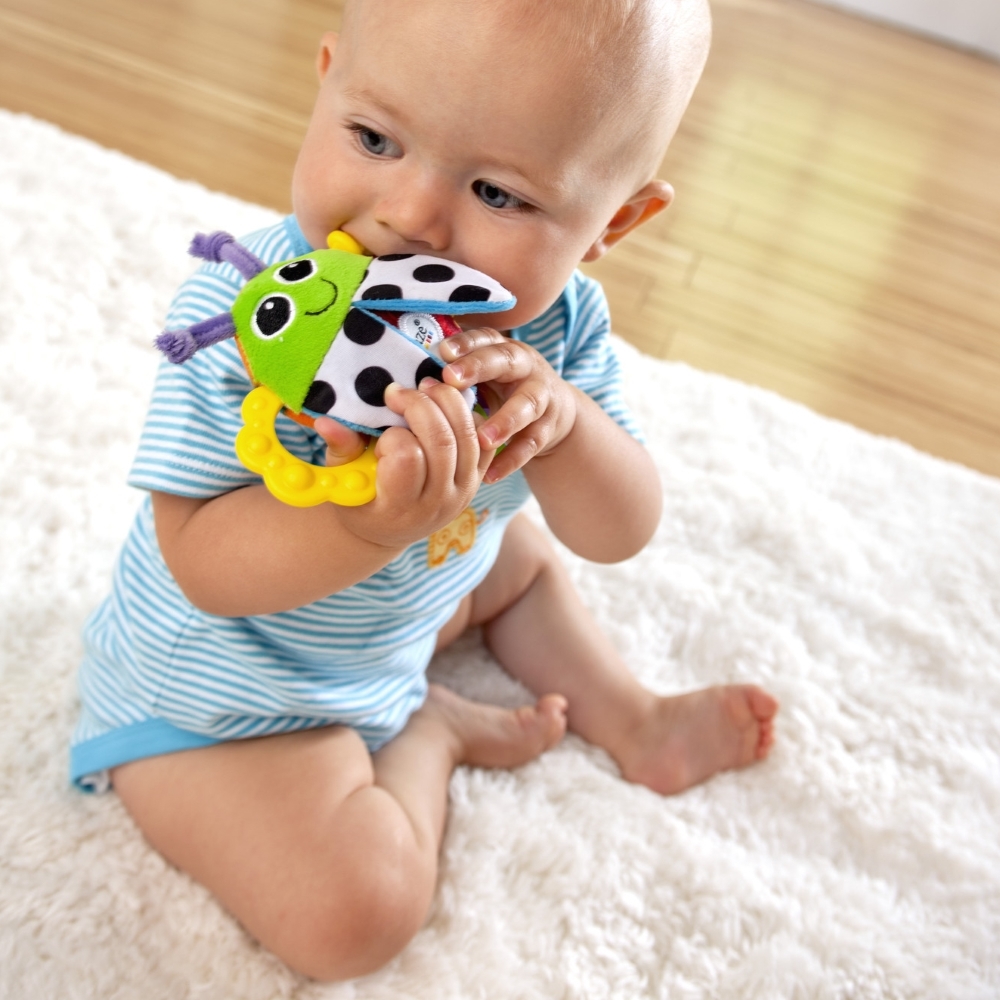 Lamaze: Bitty Bite Bug Rattle image