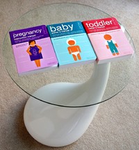 The Pregnancy Instruction Manual Troubleshooting Tips and Advice for Parents-to-Be Essential Information