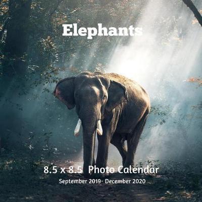 Elephants 8.5 X 8.5 Calendar September 2019 -December 2020 image