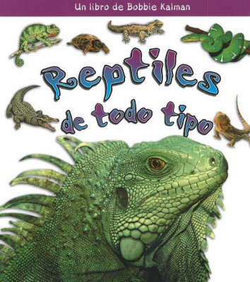 Reptiles de Todo Tipo (Reptiles of All Kinds) by Bobbie Kalman image