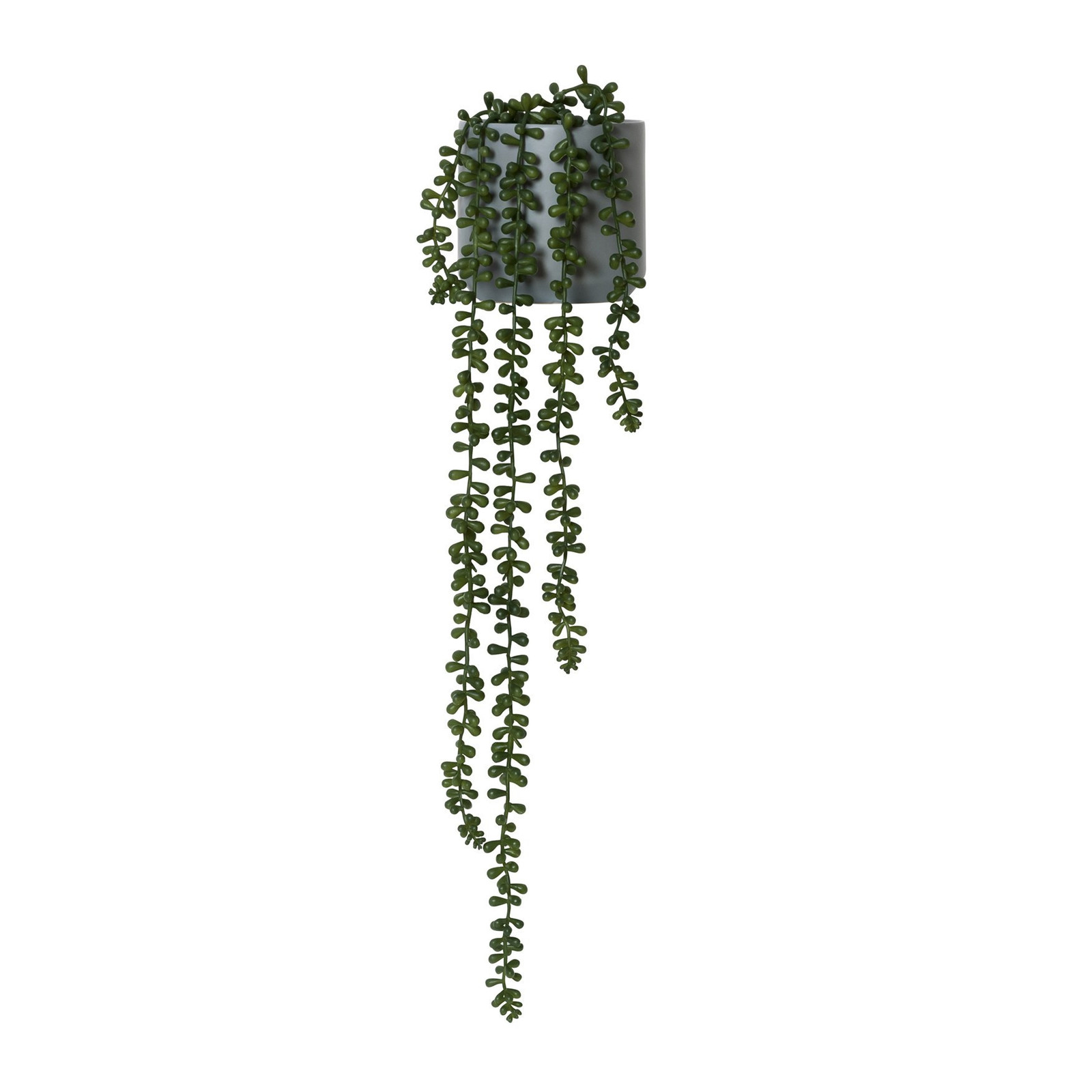 General Eclectic Artificial Plant - String of Pearls (Large - 75cm) image