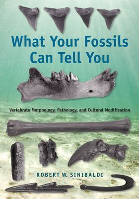 What Your Fossils Can Tell You image