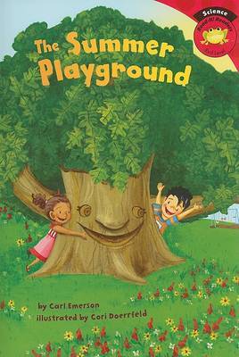 The Summer Playground on Paperback by Carl Emerson