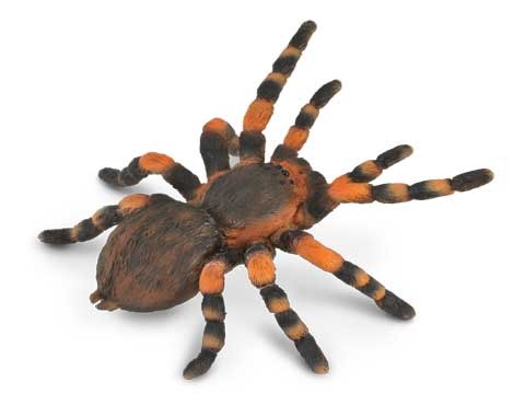 CollectA - Mexican Redknee Tarantula image