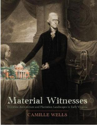 Material Witnesses by Camille Wells image