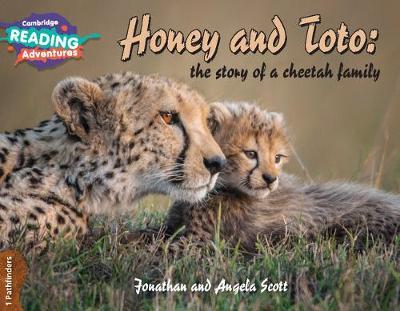 Honey and Toto: The Story of a Cheetah Family 1 Pathfinders by Jonathan Scott image