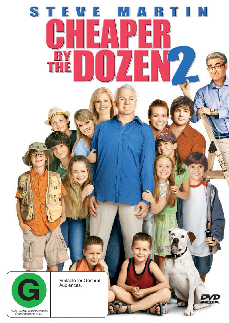 Cheaper By The Dozen 2 on DVD image