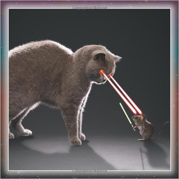 Cat Wars by Sellers Publishing image
