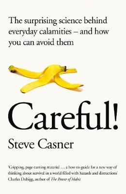 Risk by Steve Casner image
