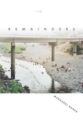 Remainders by Margaret Ronda image