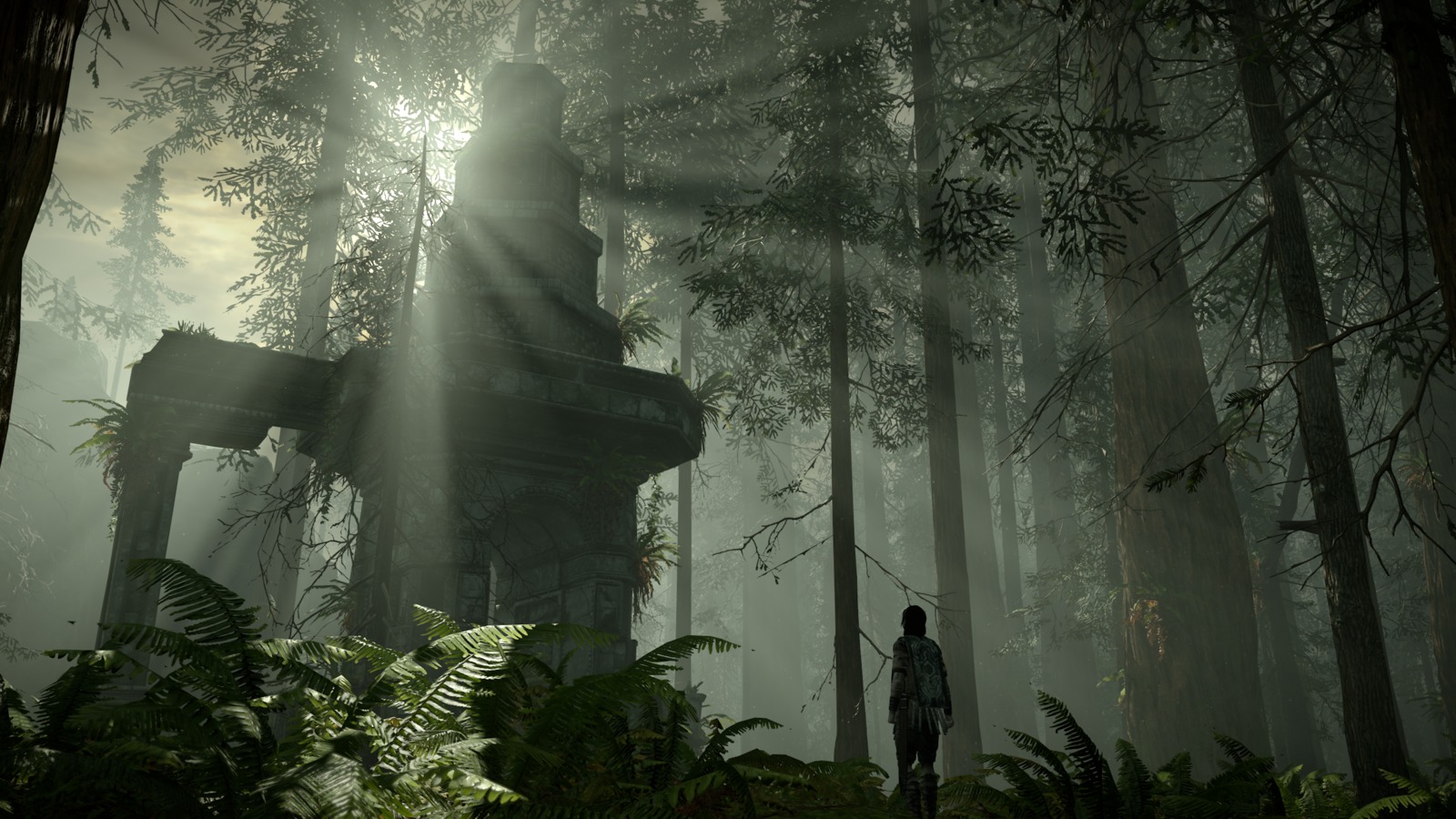 Shadow of the Colossus for PS4 image