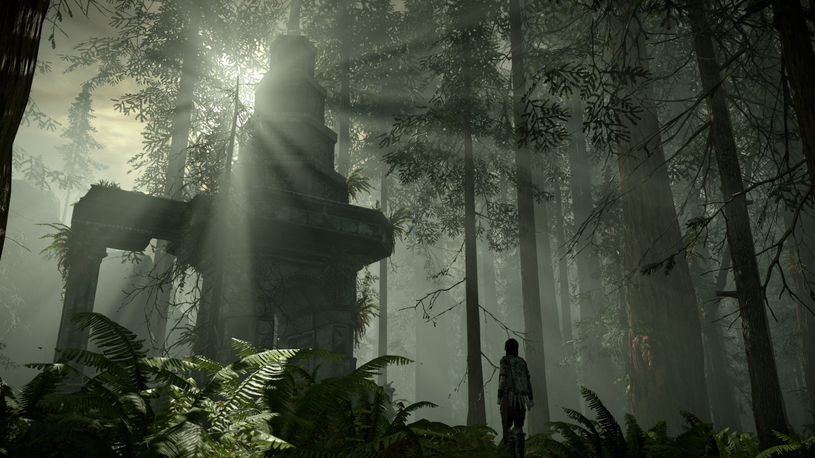 Shadow of the Colossus image