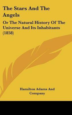 The Stars And The Angels: Or The Natural History Of The Universe And Its Inhabitants (1858) by Hamilton Adams and Company image