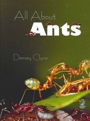 All About Ants by Densey Clyne image