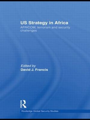 US Strategy in Africa image